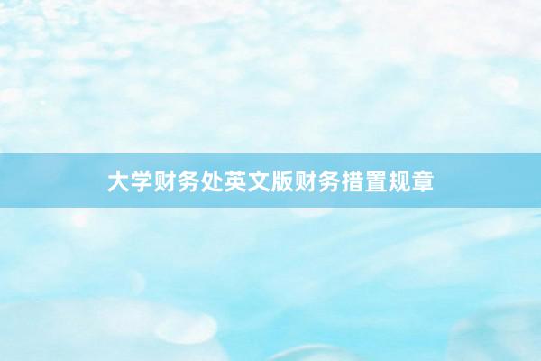 大学财务处英文版财务措置规章